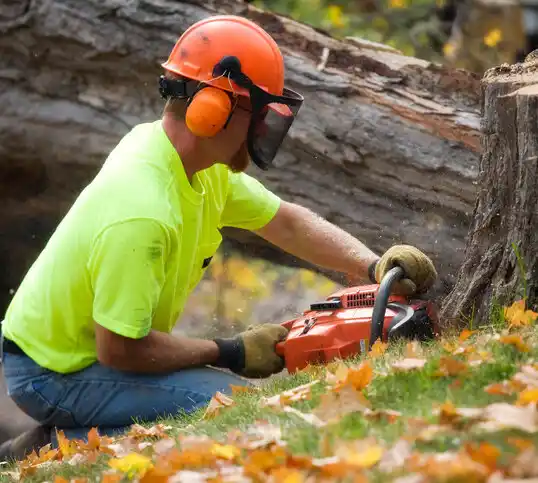 tree services River Bluff